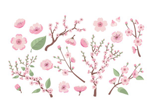 粉色的花
