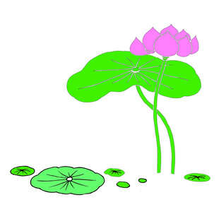 荷花素材