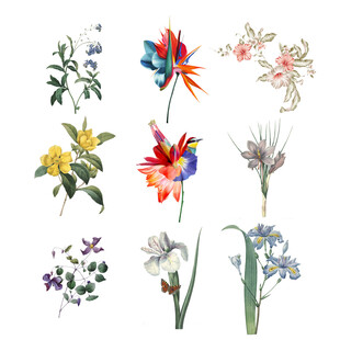 鲜花             