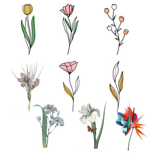 鲜花   
