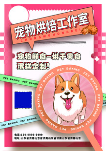 宠物海报 柯基传单 狗狗海报