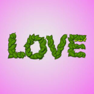 树叶LOVE