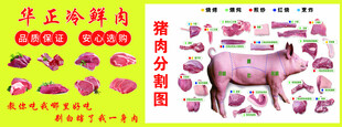 猪肉分割图