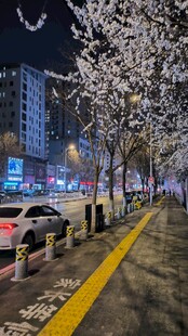 城市夜景