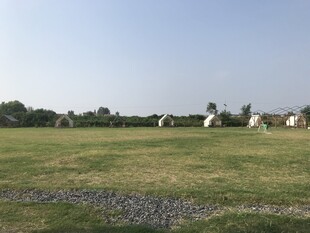草原风景 
