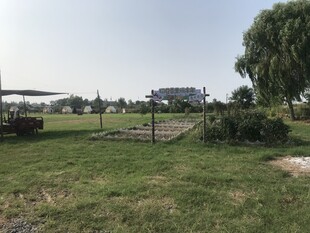 草原