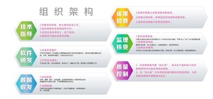 组织架构