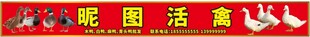 活禽招牌