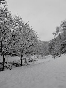 雪地