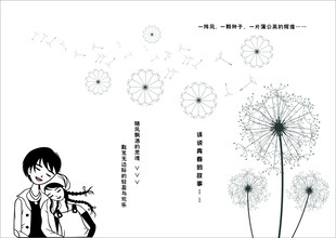 蒲公英