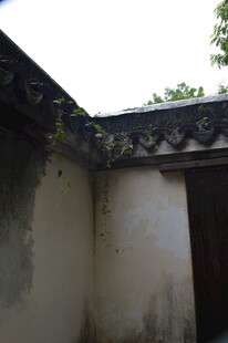 院子一角