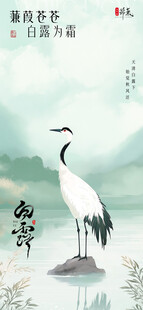 白露海报