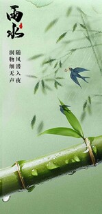 雨水二十四节气