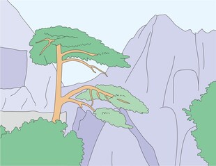 松树