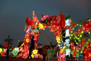 青岛国际啤酒节