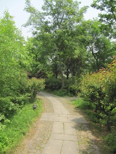 小路