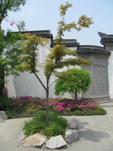 中式庭院