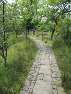 小路铺装