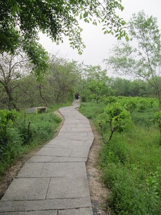 小路