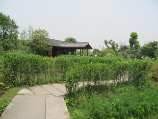 中式庭院