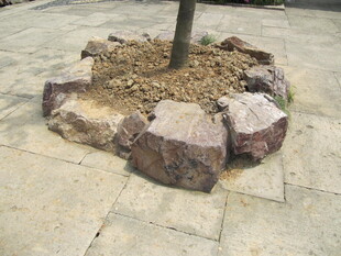 行道路种植