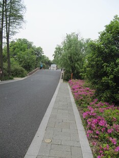 行道路