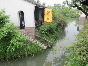 水边植物