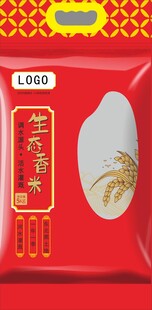 大米包装样机矢量