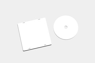 CD光盘样机