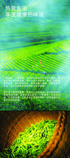 茶叶