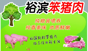 笨猪肉