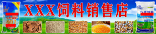 饲料
