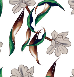 玉兰花 扫描版