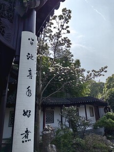 庭院