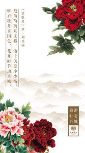 牡丹花