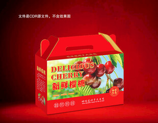 大樱桃包装