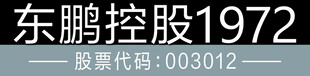 东鹏控股