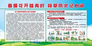 森林防火十不要宣传
