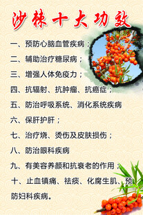 沙棘十大功效
