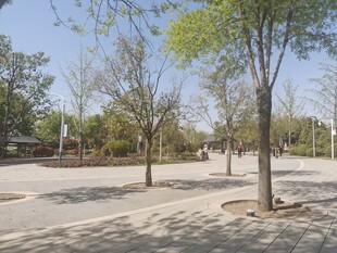 公园道路