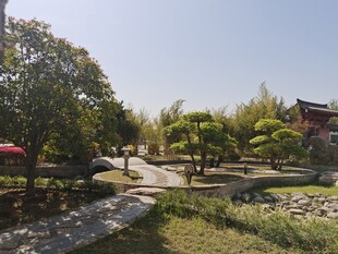 绿色公园