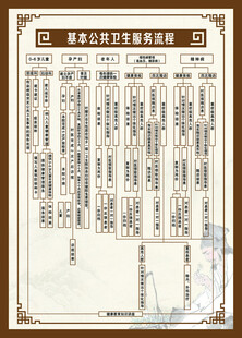 基本公共卫生服务流程