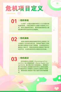 危机项目定义