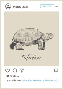 陆龟手绘稿