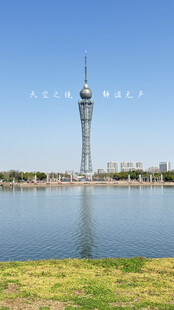 城市 