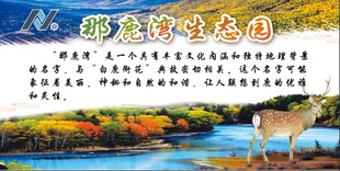 PS  景区素材