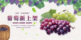 简约葡萄青提水果宣传展板