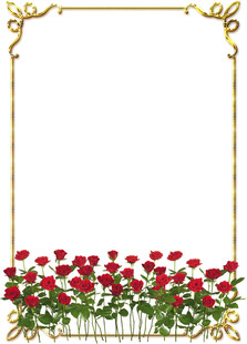 花边框