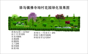 绿化