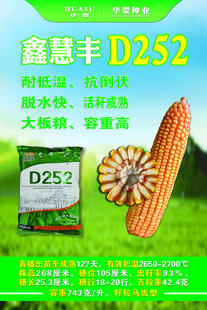 种业